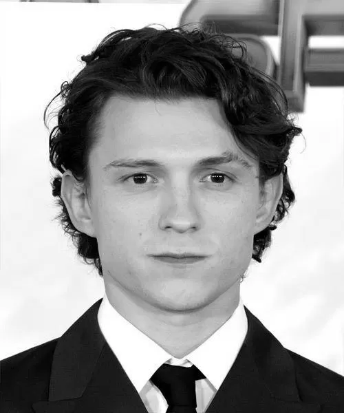 How to Do Tom Holland Hairstyle With Texture image 0
